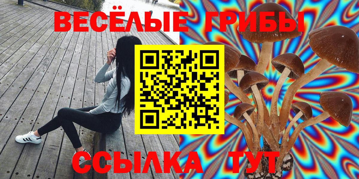 Отрадное  Псилоцибиновые грибы Magic Shrooms  Вход с VPN 